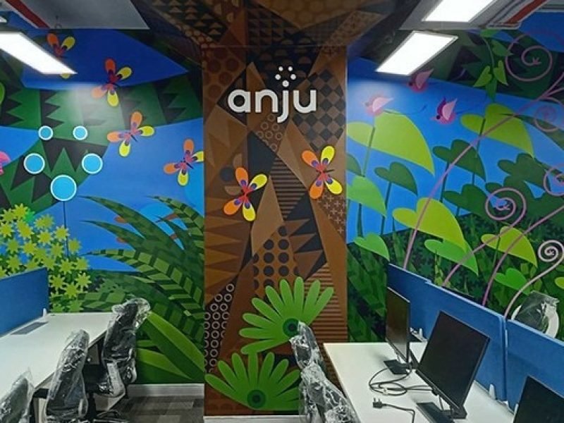 Anju-Software-6 copy