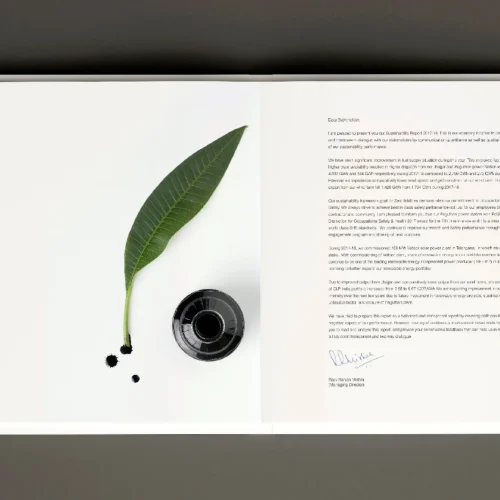 CLP Sustainability Annual Report_2019_page-0002