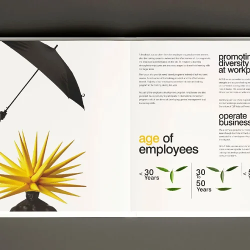 CLP Sustainability Annual Report_2019_page-0012