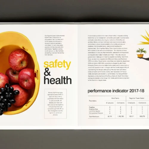 CLP Sustainability Annual Report_2019_page-0013