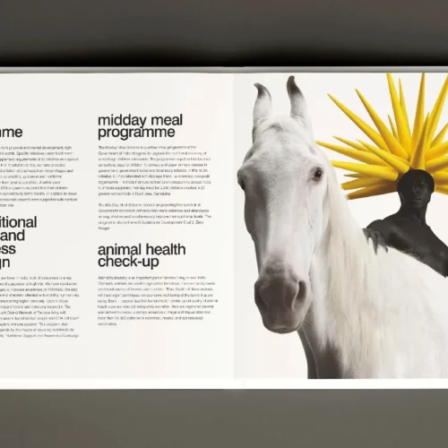 CLP Sustainability Annual Report_2019_page-0015