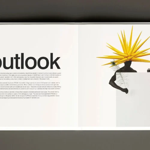 CLP Sustainability Annual Report_2019_page-0024