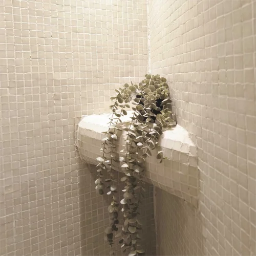 SPA 25